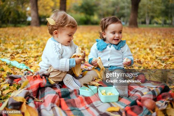 we are identical - cute twins stockfoto's en -beelden