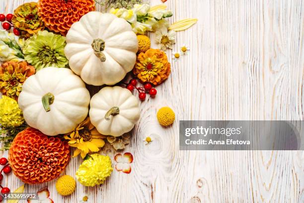 white decorative pumpkins with autumn flowers on light wooden background. thanksgiving day and halloween concept. photography from above with copy space - flat lay food stock pictures, royalty-free photos & images