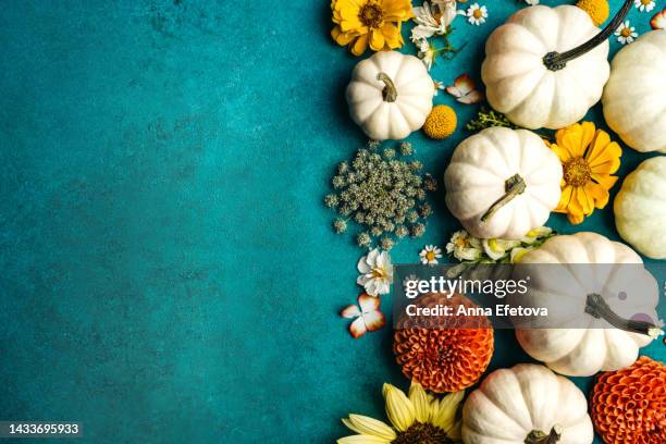 white decorative pumpkins with autumn flowers on turquoise background. thanksgiving day and halloween concept. copy space for your design - foodstyling stockfoto's en -beelden