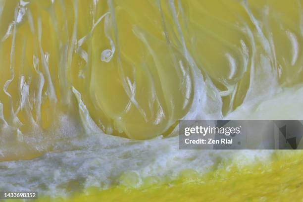 close up of grapefruit's pulp and rind with backlighting in full frame - fruit flesh stock pictures, royalty-free photos & images