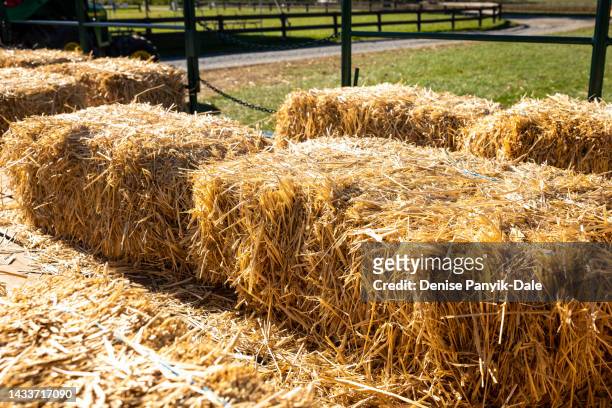bales of straw - panyik-dale stock pictures, royalty-free photos & images