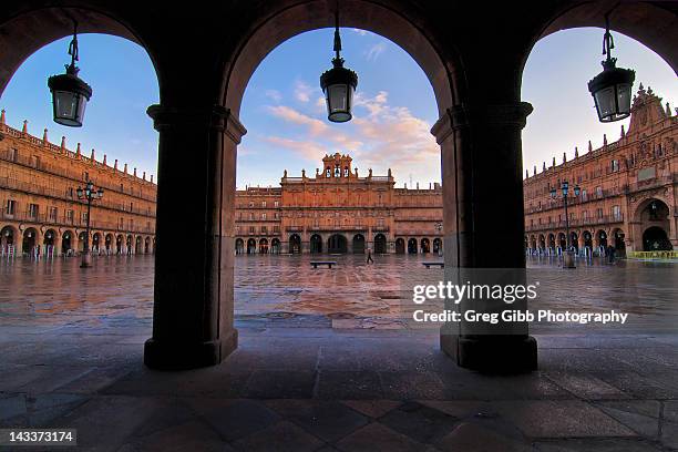 plaza mayor in salamanca - salamanca ストックフォトと画像