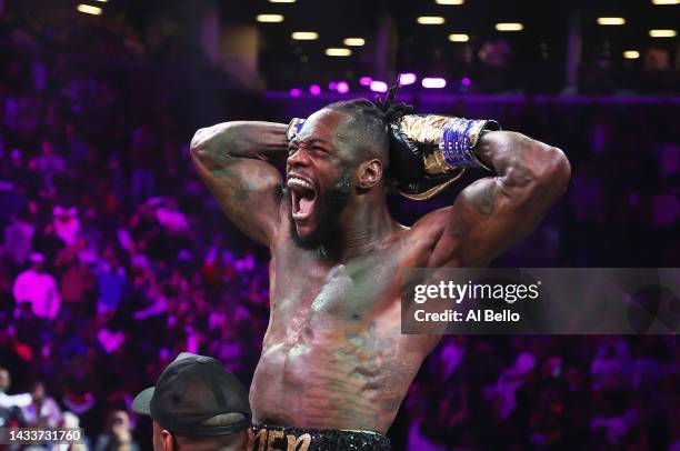 Deontay Wilder celebrates after knocking out Robert Helenius in the first round during their WBC world heavyweight title eliminator bout at Barclays...