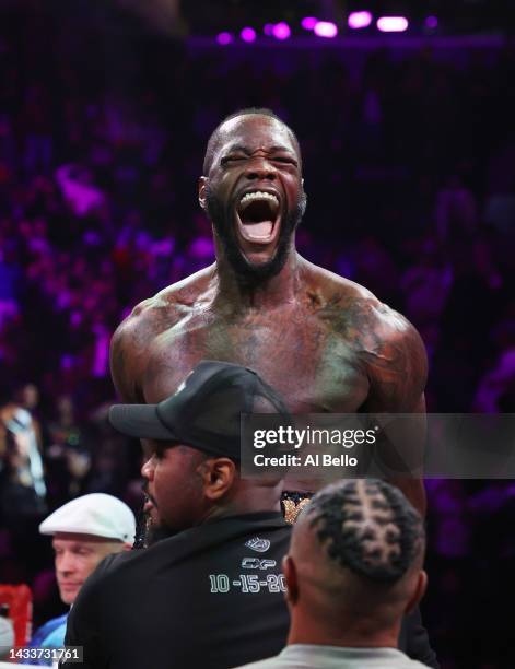 Deontay Wilder celebrates after knocking out Robert Helenius in the first round during their WBC world heavyweight title eliminator bout at Barclays...