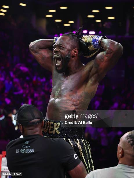 Deontay Wilder celebrates after knocking out Robert Helenius in the first round during their WBC world heavyweight title eliminator bout at Barclays...