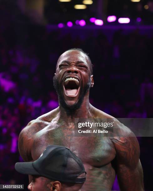 Deontay Wilder celebrates after knocking out Robert Helenius in the first round during their WBC world heavyweight title eliminator bout at Barclays...