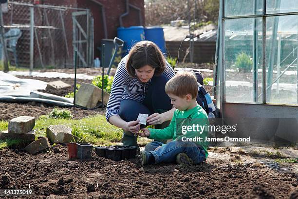 parent and child allotment gardening - seed packet stock pictures, royalty-free photos & images