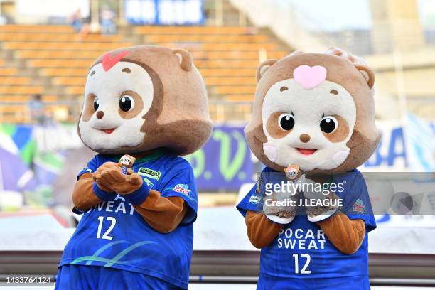 Vorta-Kun Tis-Chan of Tokushima Vortis mascot are seen prior to the J.LEAGUE Meiji Yasuda J2 41st Sec. Match between Tokushima Vortis and Omiya...