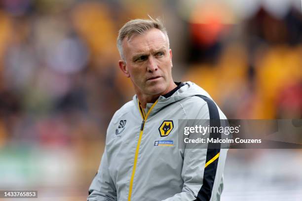 Wolverhampton Wanderers interim head coach Steve Davis looks on during the Premier League match between Wolverhampton Wanderers and Nottingham Forest...