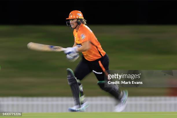 Sophie Devine of the Scorchers runs between the wickets during the Women's Big Bash League match between the Sydney Thunder and the Perth Scorchers...
