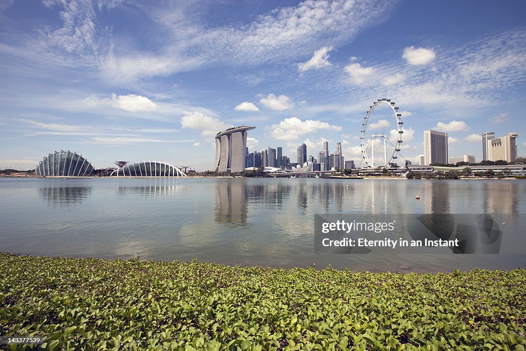 Singapore Cityscape with Singapore Flyer