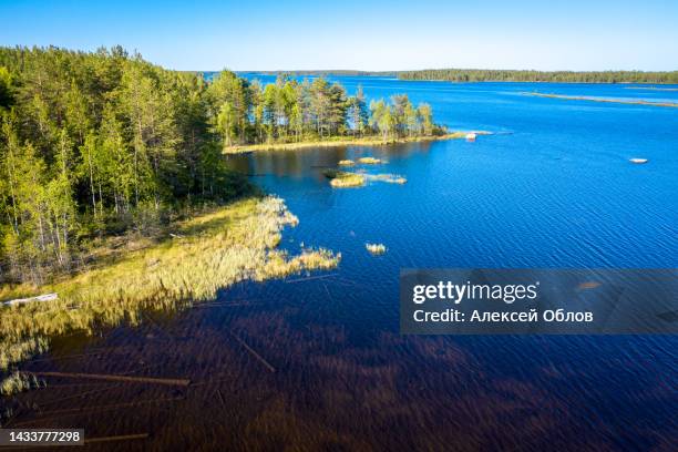 aerial view on karelian lake lindozero. lake in karelia in summer. blue lake and green forest top view - lake ladoga stock pictures, royalty-free photos & images