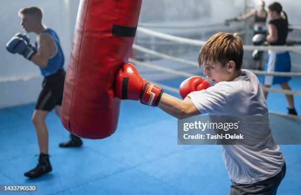 teenage boy exercising at boxing on punching bag - punching bag stock pictures, royalty-free photos & images