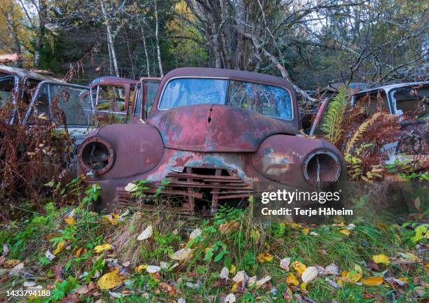 junkyard car cemetery - autofriedhof stock-fotos und bilder