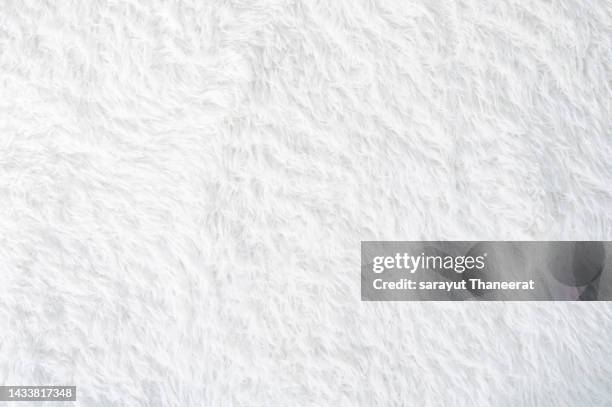 white wool carpet background - wool carpet stock pictures, royalty-free photos & images