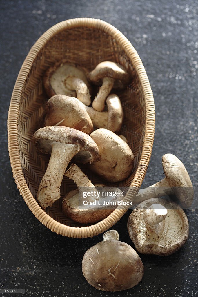 Mushrooms in basket