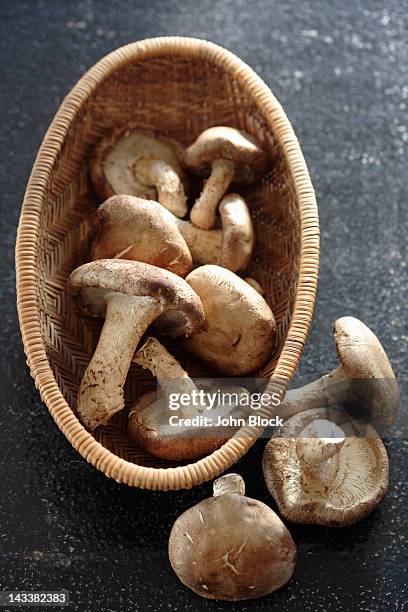 mushrooms in basket - shiitake mushroom stock pictures, royalty-free photos & images