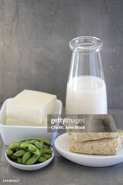 soy milk, tempeh and raw beans - テンペ ストックフォトと画像