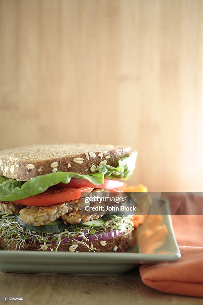 Close up of tempeh soy sandwich