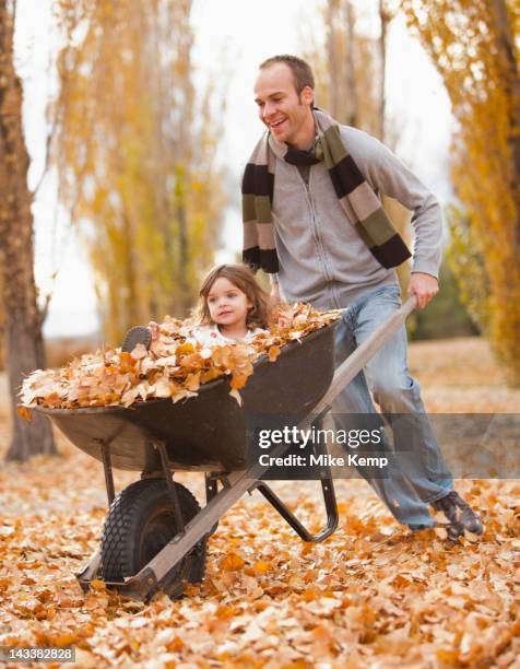 caucasian father pushing daughter and autumn leaves in wheelbarrow - wheelbarrow ride stock pictures, royalty-free photos & images