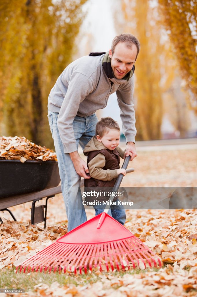 Caucasian father and son raking autumn leaves