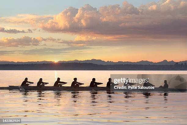 team rowing boat in bay - crew rowing stock pictures, royalty-free photos & images