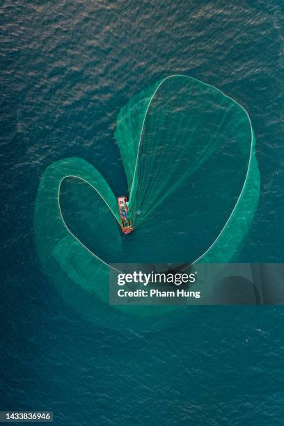 netting anchovies - fishing boat net stock pictures, royalty-free photos & images