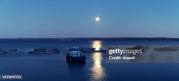 fish farm in moonlight - bay of fundy stock pictures, royalty-free photos & images