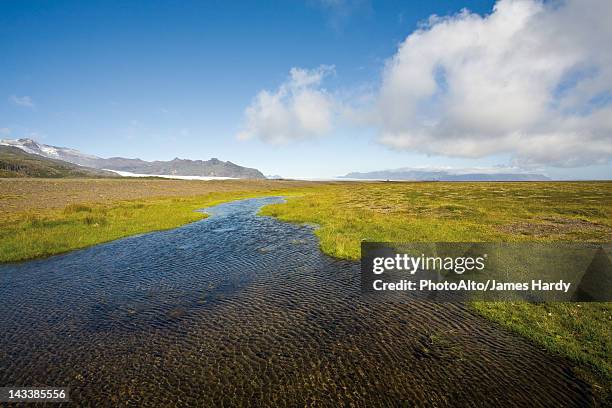 countryside along route 1 between kirkjubaejarklaustur and kalfafell, iceland - kalfafell iceland stock pictures, royalty-free photos & images