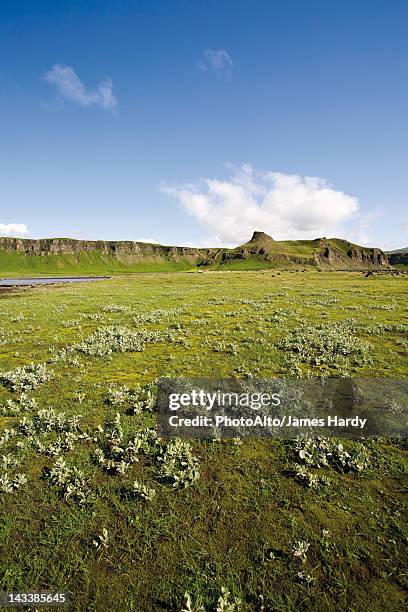 countryside along route 1 between kirkjubaejarklaustur and kalfafell, iceland - kalfafell iceland stockfoto's en -beelden