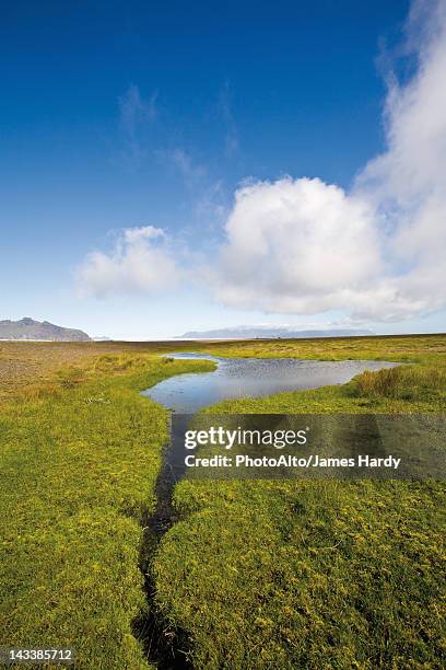 countryside along route 1 between kirkjubaejarklaustur and kalfafell, iceland - kalfafell iceland stock pictures, royalty-free photos & images