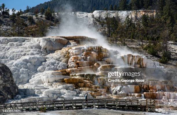 Dramatic mineral terraces along the highway are viewed near the Park Headquarters on September 21 in Mammoth Hot Springs, Yellowstone National Park,...