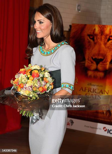 Catherine, Duchess of Cambridge attends the UK Premiere of 'African Cats' in aid of Tusk at BFI Southbank on April 25, 2012 in London, England.