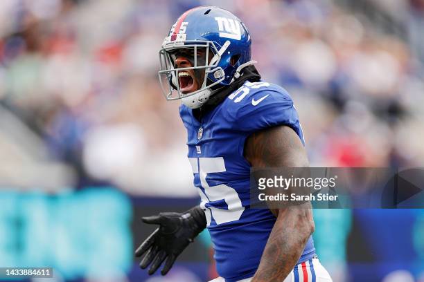 Jihad Ward of the New York Giants celebrates after a defensive stop during the first quarter against the Baltimore Ravens at MetLife Stadium on...