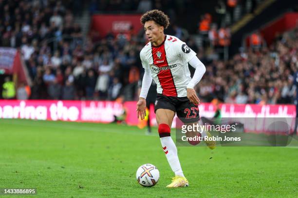 Samuel Edozie of Southampton during the Premier League match between Southampton FC and West Ham United at Friends Provident St. Mary's Stadium on...