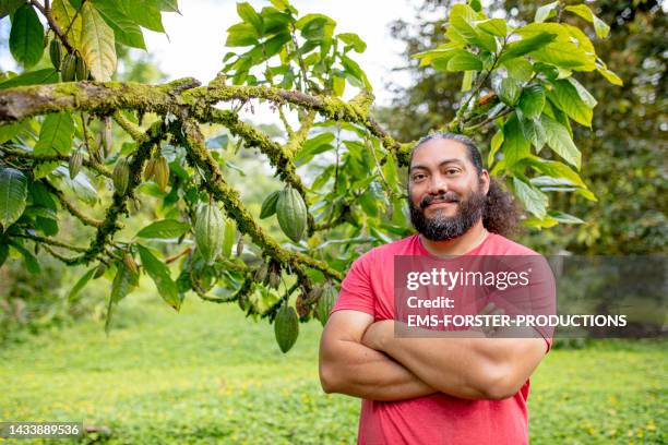 smiling and proud gardener is standing in front of his cacao tree - insulano do pacífico imagens e fotografias de stock