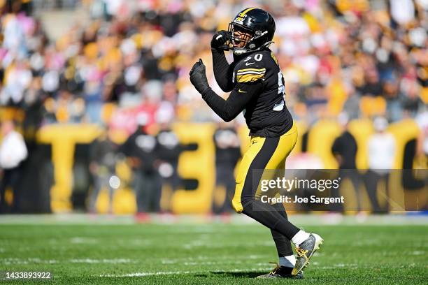 Malik Reed of the Pittsburgh Steelers celebrates after sacking Tom Brady of the Tampa Bay Buccaneers during the first half at Acrisure Stadium on...