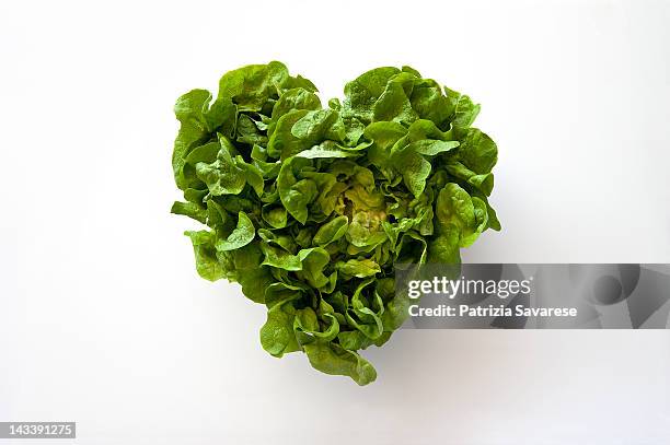 heart-shaped formed by fresh lettuce - alface imagens e fotografias de stock