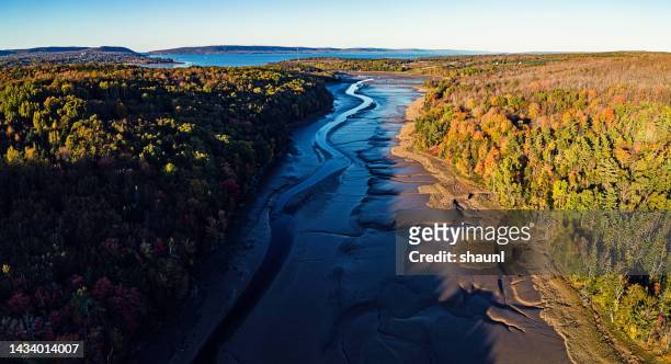 autumn low tide - bay of fundy stockfoto's en -beelden