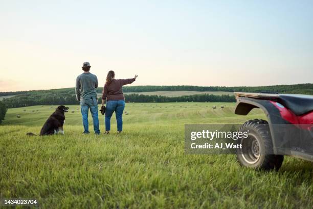 couple d’agriculteurs dans un champ de ferme avec leur chien regardant une vue - chien de berger photos et images de collection
