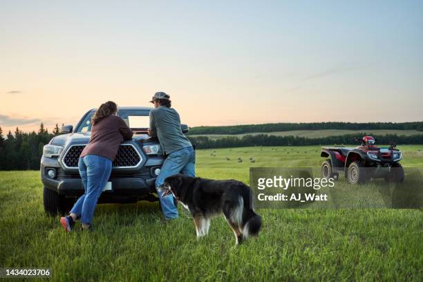 rear view of a man and woman using laptop on farm field - personal land vehicle stock pictures, royalty-free photos & images