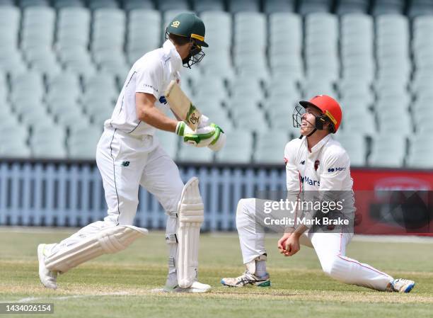 Tim Paine of the Tasmanian Tigers gets caught by Henry Hunt of the Redbacks during the Sheffield Shield match between South Australia and Tasmania at...