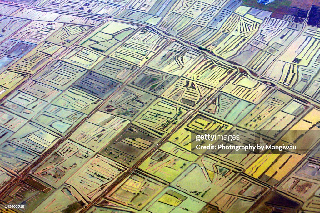 Shrimp farm mosaic