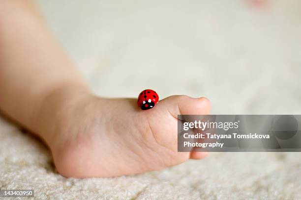 Infant Ladybug Baby Lady Bug Photos and Premium High Res Pictures - Getty Images