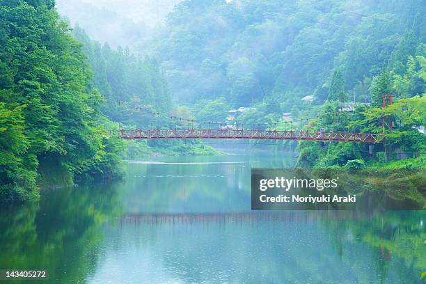 lake bridge in fog - préfecture de kochi photos et images de collection