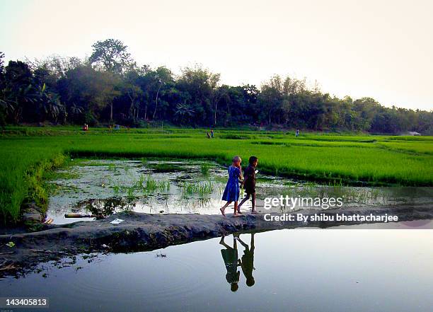 on way back home - bengali girl - fotografias e filmes do acervo