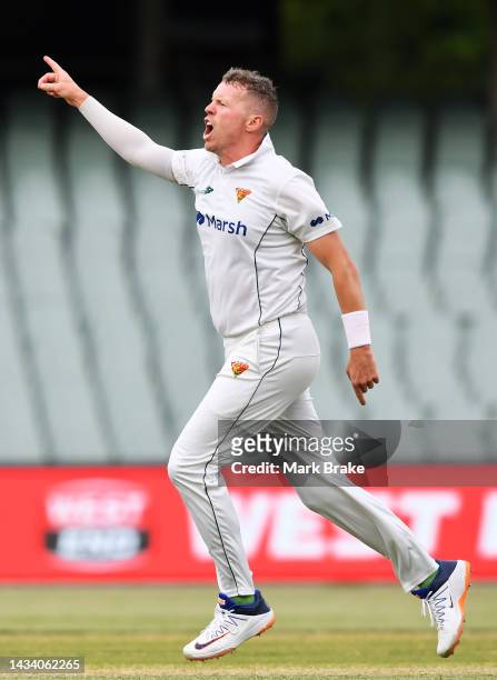Peter Siddle of the Tasmanian Tigers celebrates the wicket of s22during the Sheffield Shield match between South Australia and Tasmania at Adelaide...