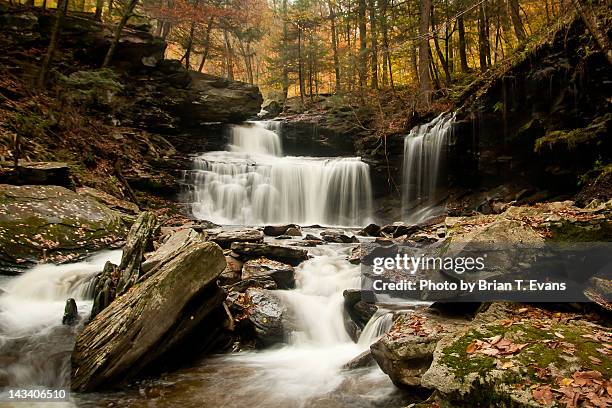 autumn waterfalls at ricketts glen - ricketts glen state park stock pictures, royalty-free photos & images