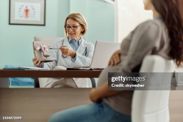 happy gynecologist explaining ovary anatomy to her pregnant patient in the office. - human uterus stockfoto's en -beelden