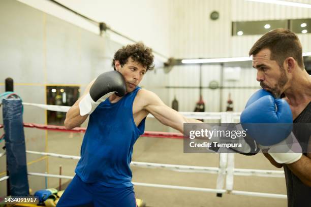 sparring partner throws a left punch at another boxer who protects himself in boxing ring training session. - argentina training session stock pictures, royalty-free photos & images